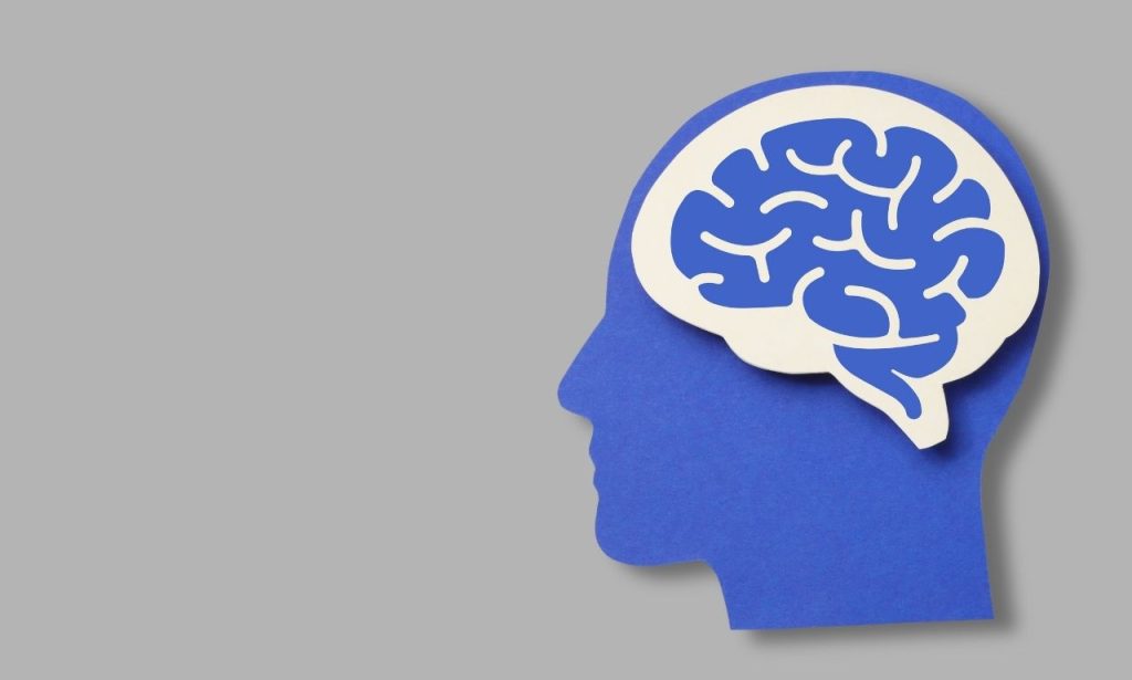Brain Adapt Over Time